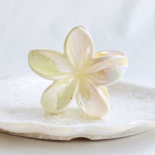 Prensa Flor Hawaiana Crema