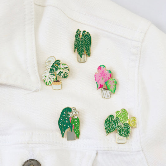 Pins Planta