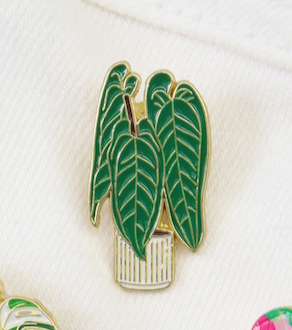 Pins Planta