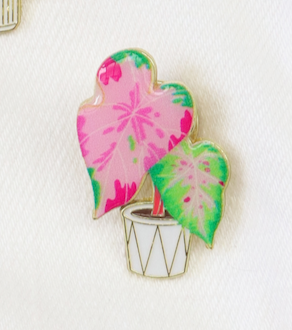 Pins Planta