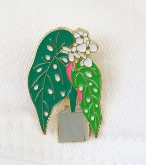 Pins Planta