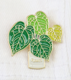 Pins Planta